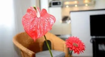 Apartmán Appart Ambiance - Stella Lyon Francie